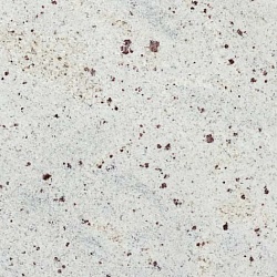 Kashmir White