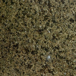 Maslavsky